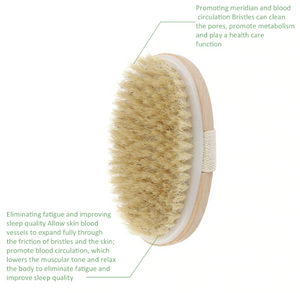 Shower Bristle Brush